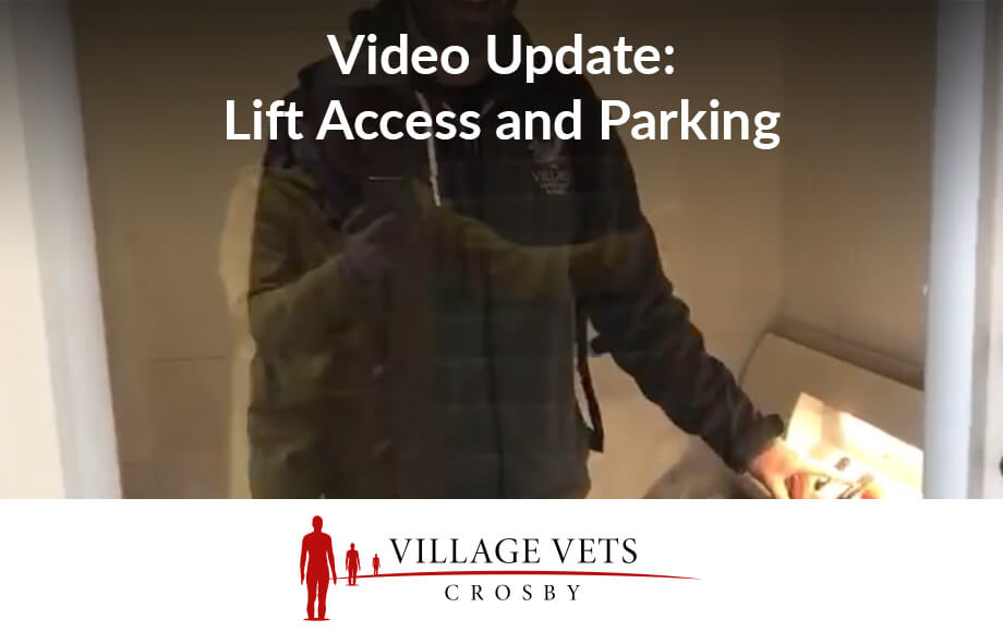 Build Update Video 3 – Lift access and parking