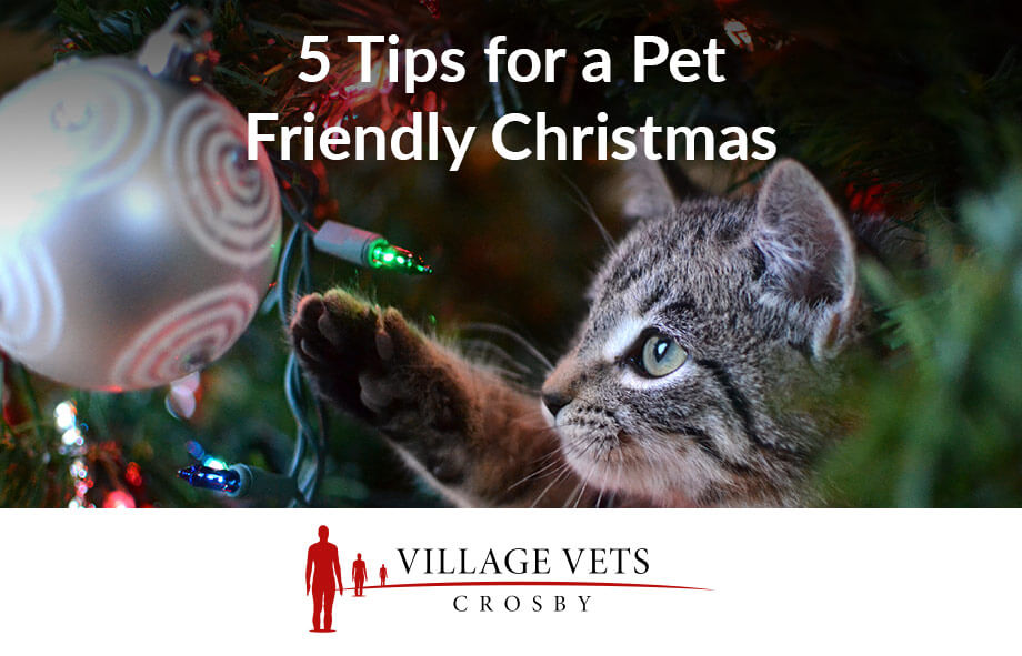 5 Tips for a Pet Friendly Christmas